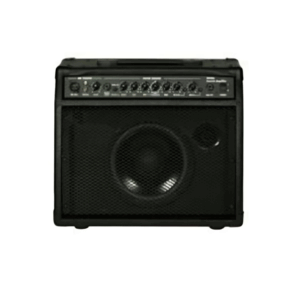 Crossroads 10" Acoustic Amplifier