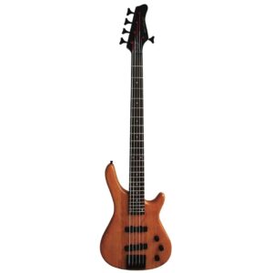 Stadium 5-String Electric Bass Guitar